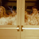 Image for article titled A Buffy mastermind goes back to high school